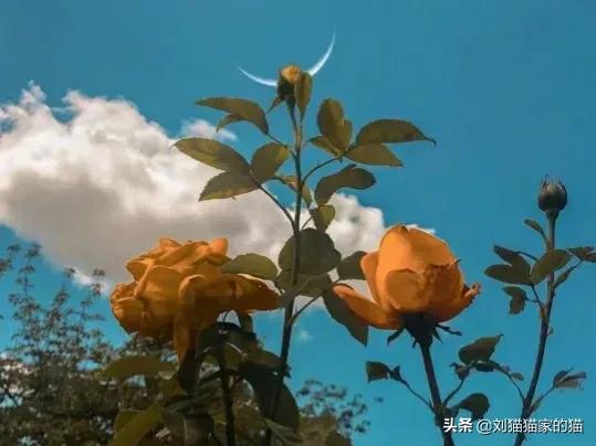 退休以后，无论多富有，都不要轻易帮儿女这“4个忙”