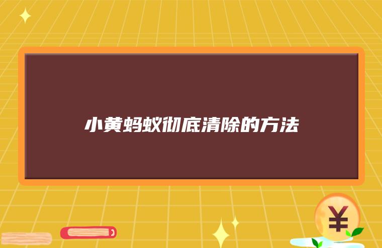 小黄蚂蚁彻底清除的方法，怎么消灭小黄家蚁