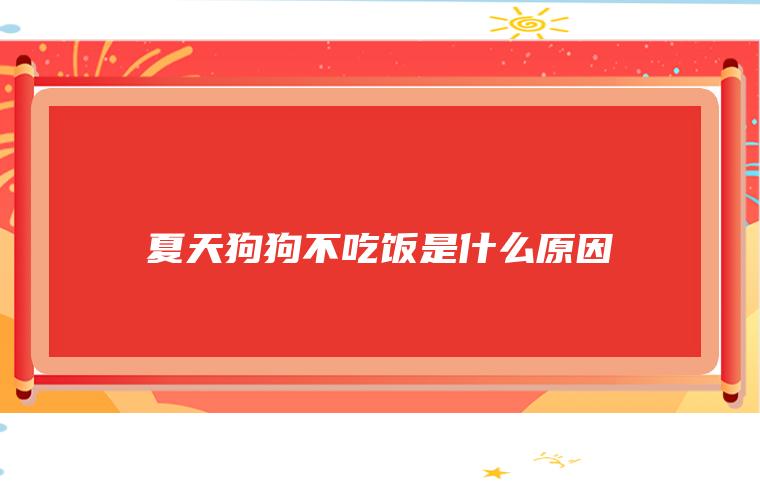 狗狗不吃饭是什么原因,狗狗食欲不振怎么解决