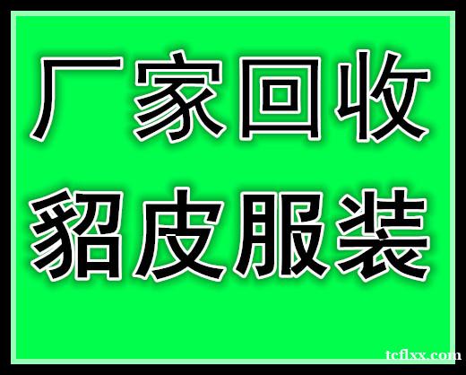 金溪县代办公司地址变更要多少钱