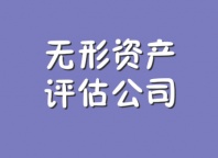 北京无形资产评估，商标权专利权评估—北京海润京丰